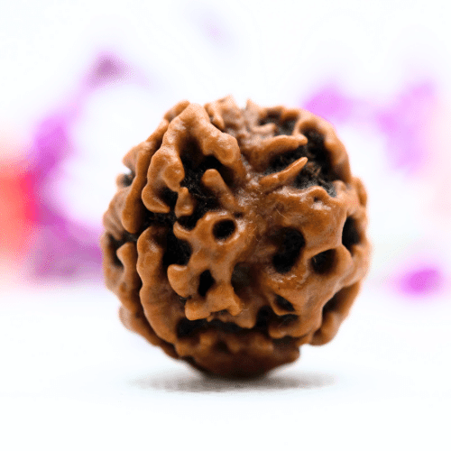 3 Mukhi Nepali Rudraksha - Antique