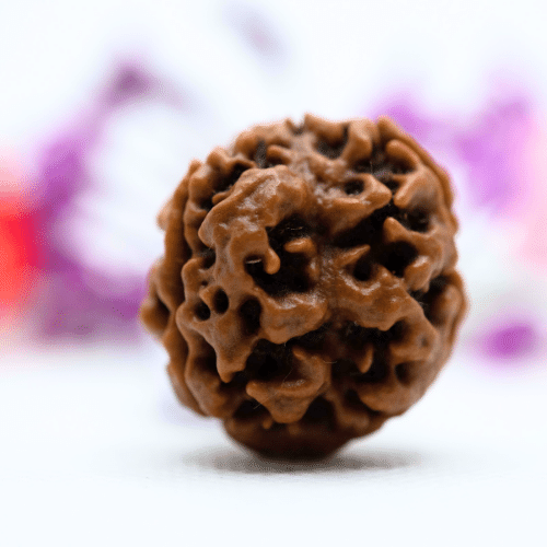 3 Mukhi Nepali Rudraksha - Antique