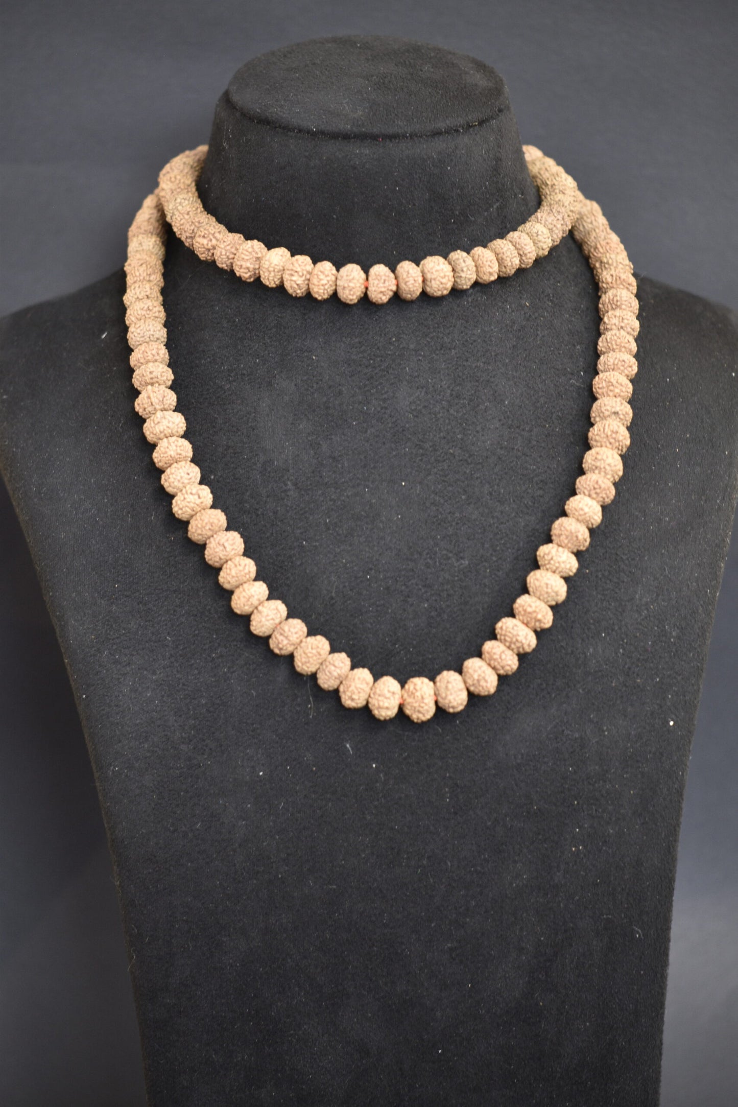 10 Mukhi Rudraksha Mala