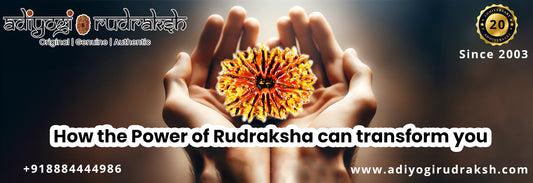 How can you be transformed by the Power of Rudraksha? 