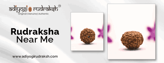 Rudraksha near me