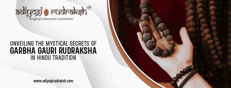 Garbha Gauri Rudraksha
