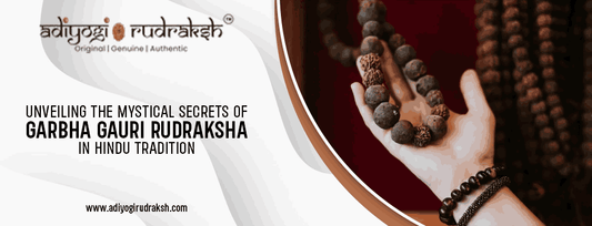 Garbha Gauri Rudraksha
