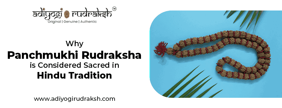 Why Panchmukhi Rudraksha is Considered Sacred in Hindu Tradition