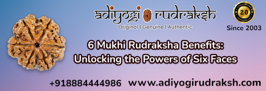 6 Mukhi Rudraksha Benefits