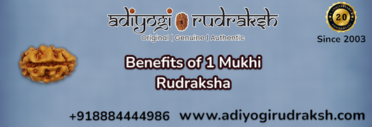 Benefits of 1 Mukhi Rudraksha