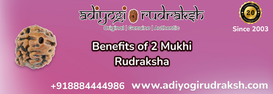 Benefits of 2mukhi Rudraksha