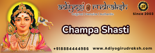 Champa Shashti
