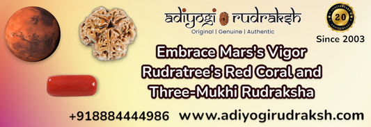 Embrace Mars's Vigor Rudratree's Red Coral and Three-Mukhi Rudraksha
