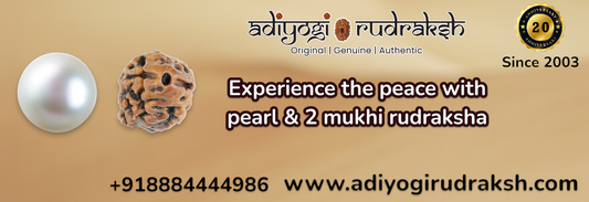 Experience the peace with pearl & 2 mukhi rudraksha
