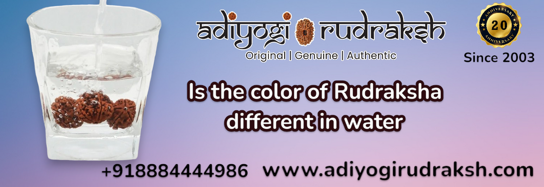 Is the color of Rudraksha different in water