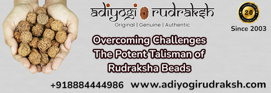 Overcoming Challenges: The Potent Talisman of Rudraksha Beads  