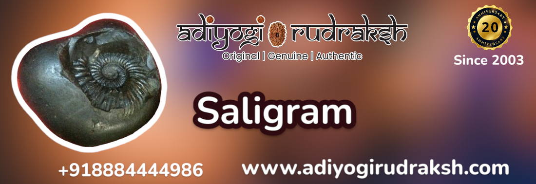 Shaligrama