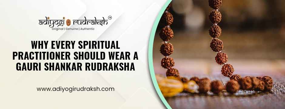 Gauri Shankar Rudraksha