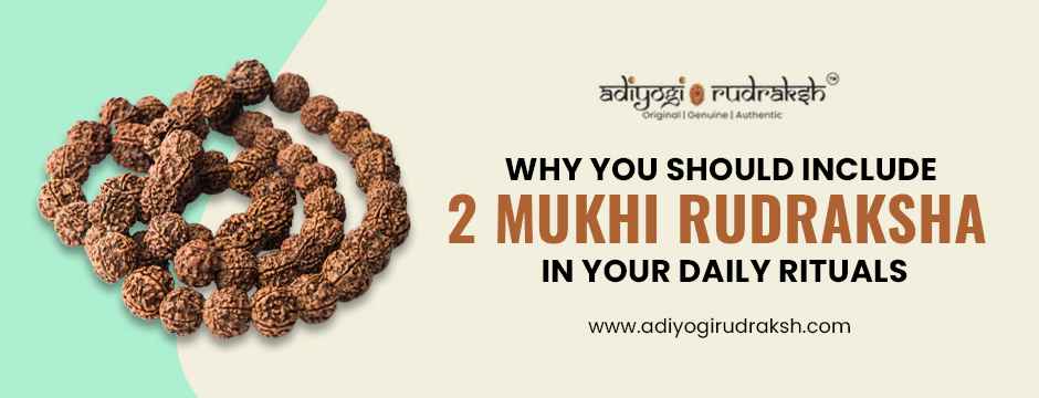 Why You Should Include 2 Mukhi Rudraksha in Your Daily Rituals