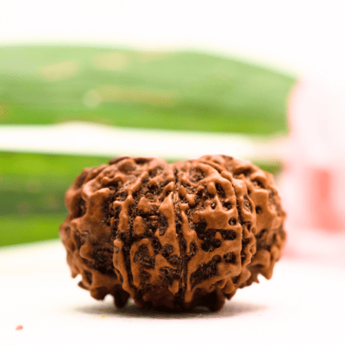 9 Mukhi Nepali Rudraksha - Antique