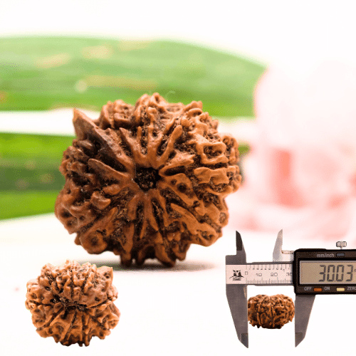 9 Mukhi Nepali Rudraksha - Antique