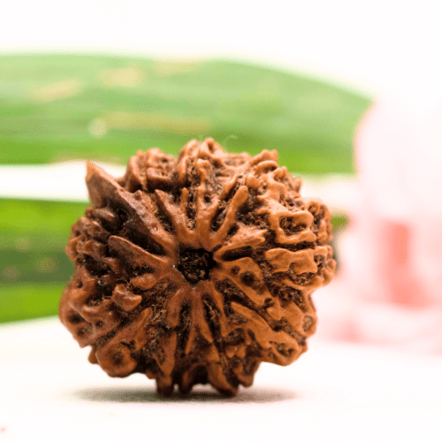 9 Mukhi Nepali Rudraksha - Antique