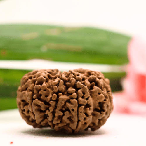 9 Mukhi Nepali Rudraksha - Antique