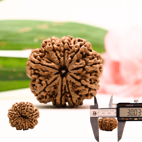 9 Mukhi Nepali Rudraksha - Antique