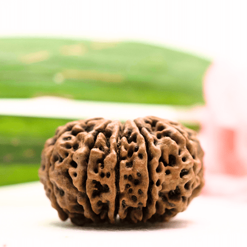 9 Mukhi Nepali Rudraksha - Antique