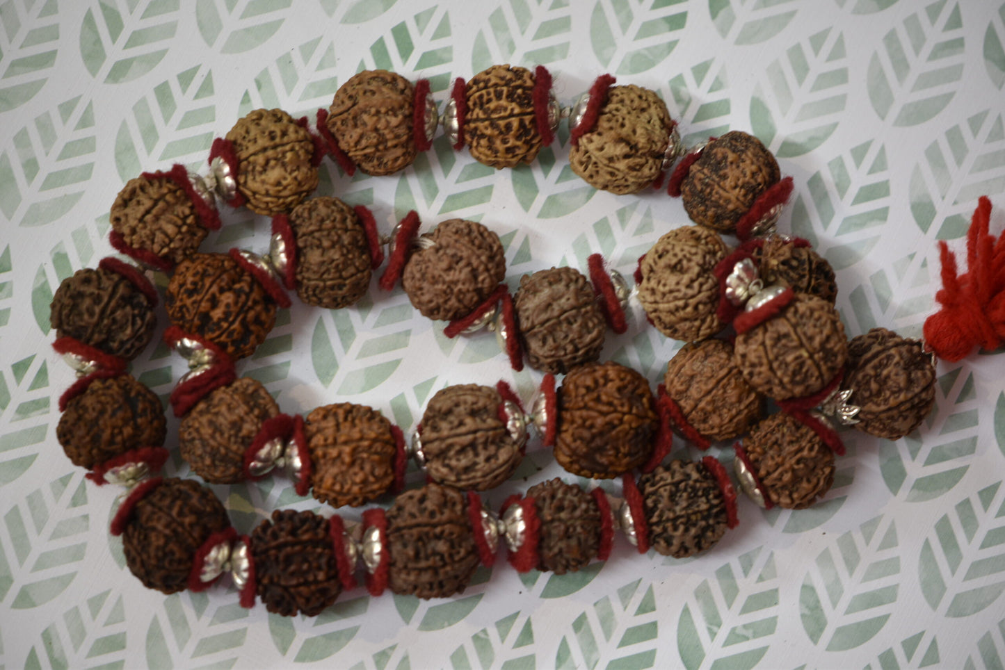 7 Mukhi Kanta