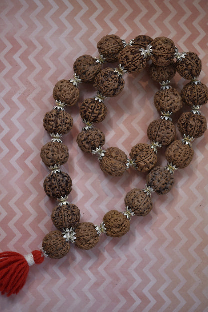 5 Mukhi Kanta Silver